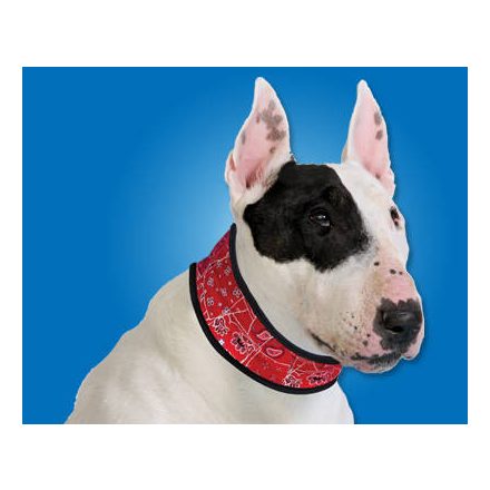 Aqua Coolkeeper Cooling collar - hűtőnyakörv (piros) kutyák részére (XXL) 55-60cm/8,5cm