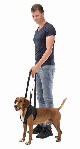 Trixie Walking Aid - Sétáltatást segítő kutyahám - fekete - (L-XL) 75–85cm/50kg