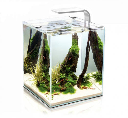 Aquael Shrimp Set Smart Day&Nnight 10 white - Nano akvárium (fehér) garnélarákoknak és kisebb halaknak (20x20x25cm)