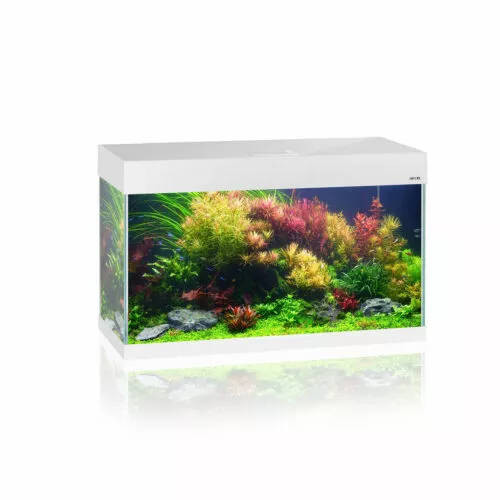 AquaEl OPTI Set akvárium szett (fehér) 81x36x51cm(125l)